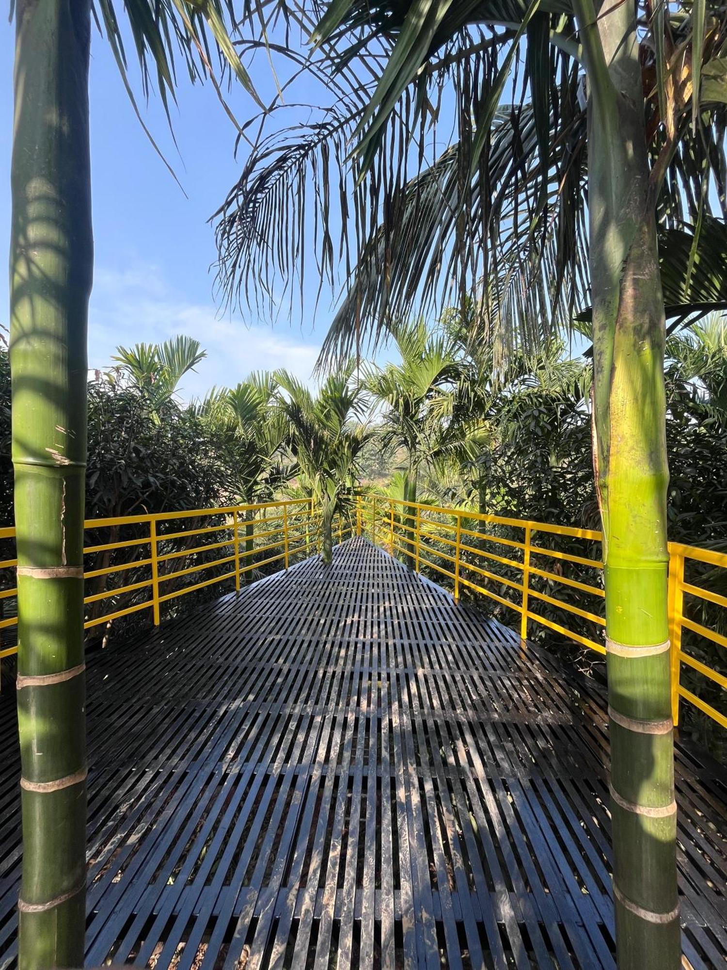 Gandhadagudi Nature Retreat バンガロール エクステリア 写真